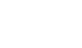 Banner Bottom Image