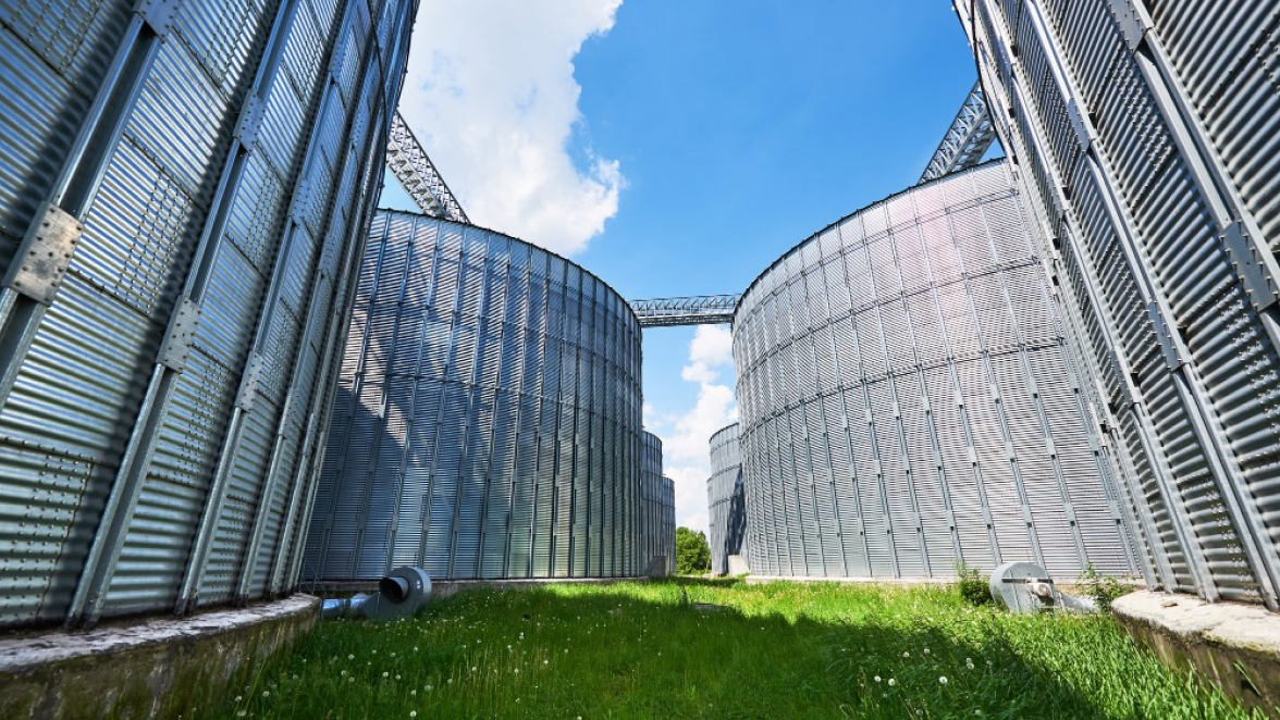 Integrating Nature-Inspired Design Elements in Industrial Complexes