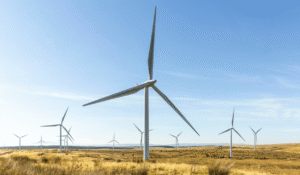 Wind Blade