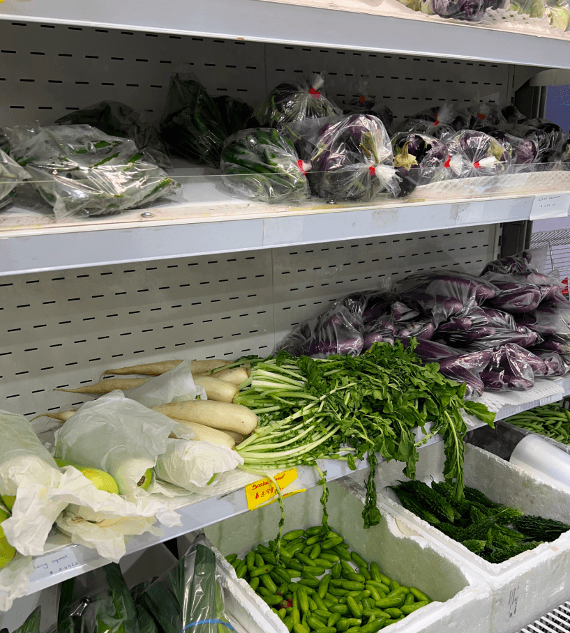 Why Choose VMS for Cold Chain Storage Design Services?